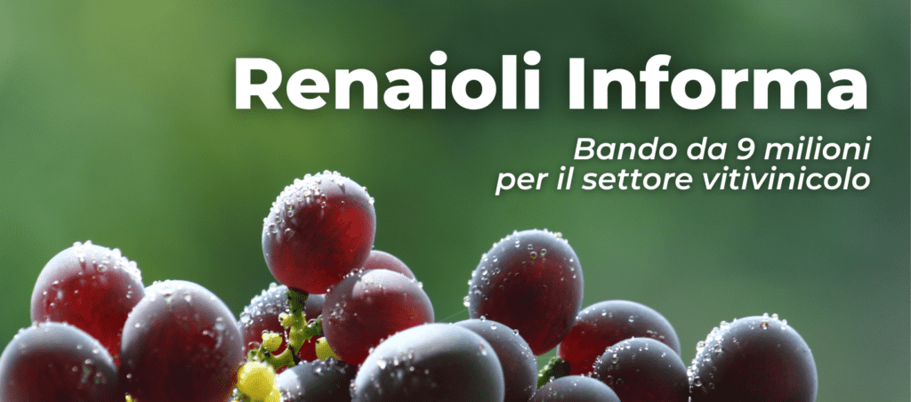 Renaioli Informa Bando da 9 milioni per il settore vitivinicolo 1