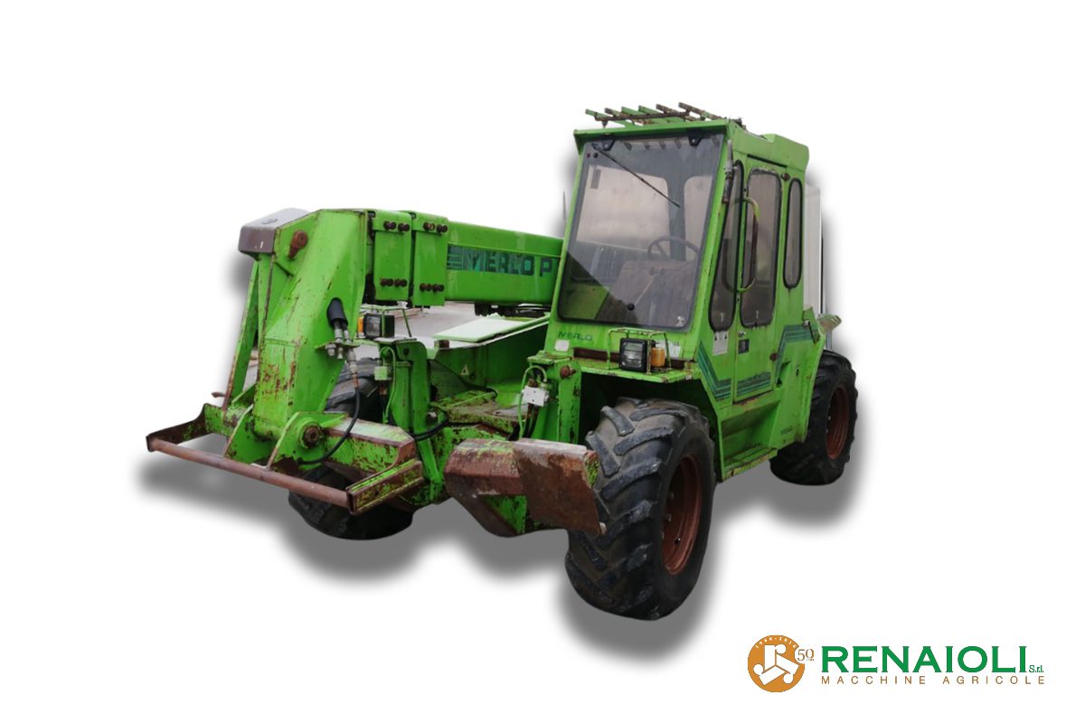 TELESCOPICO PANORAMIC P3011X5 MERLO (FF4290) 1 TELESCOPICO PANORAMIC P3011X5 MERLO (FF4290)