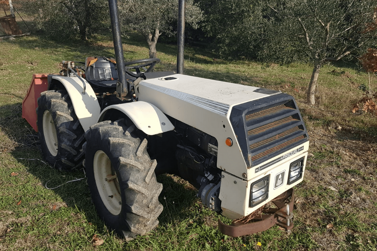 TRATTORE GOMMATO 30 CV PASQUALI (CA9704) 1 TRATTORE GOMMATO 30 CV PASQUALI (CA9704)