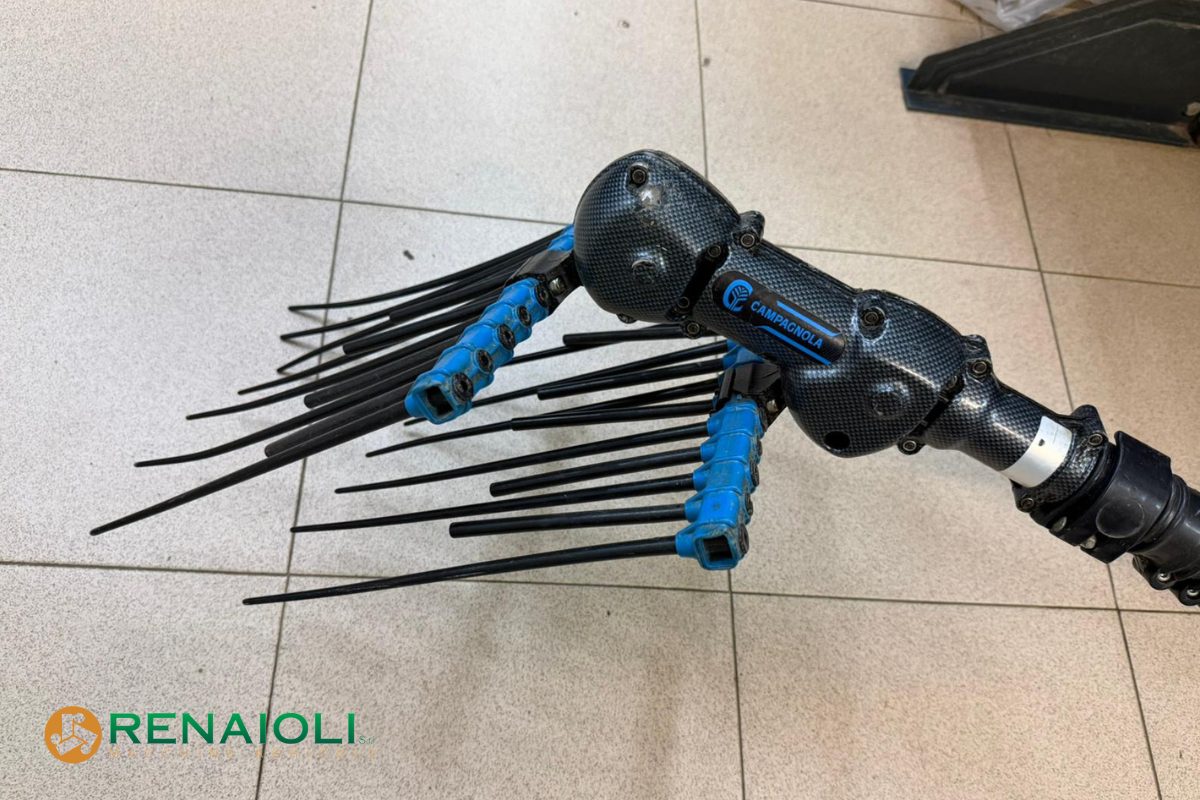 ABBACCHIATORE ELETTRICO ALICE PREMIUM 58 (ASTA ALLUMINIO) CAMPAGNOLA (FM1276) 3 ABBACCHIATORE ELETTRICO ALICE PREMIUM 58 (ASTA ALLUMINIO) CAMPAGNOLA (FM1276) - immagine 3